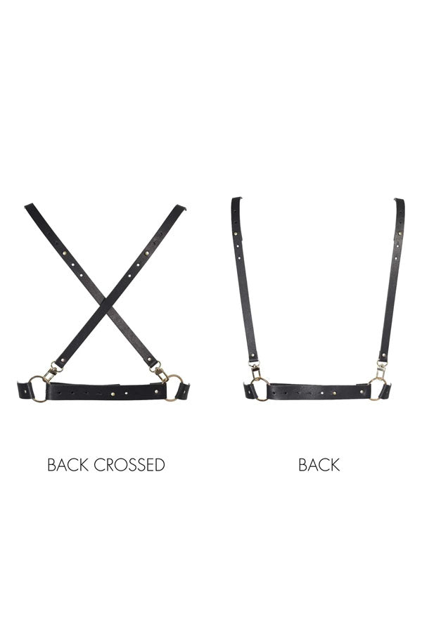 Brown X Maze Harness